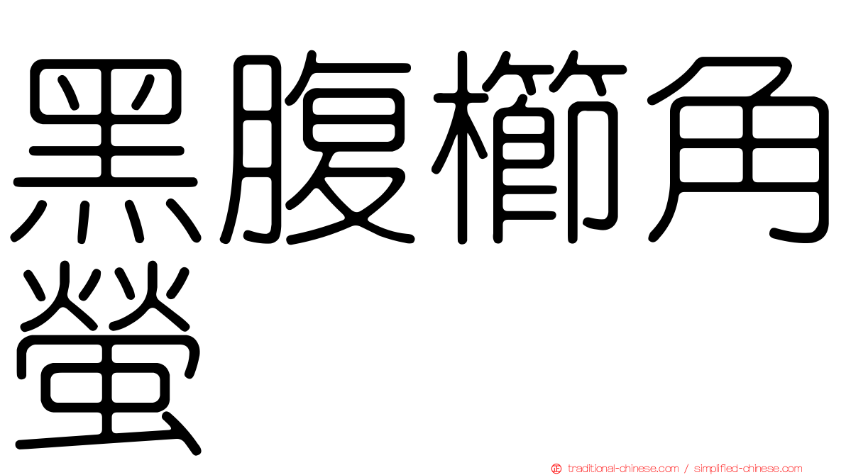 黑腹櫛角螢