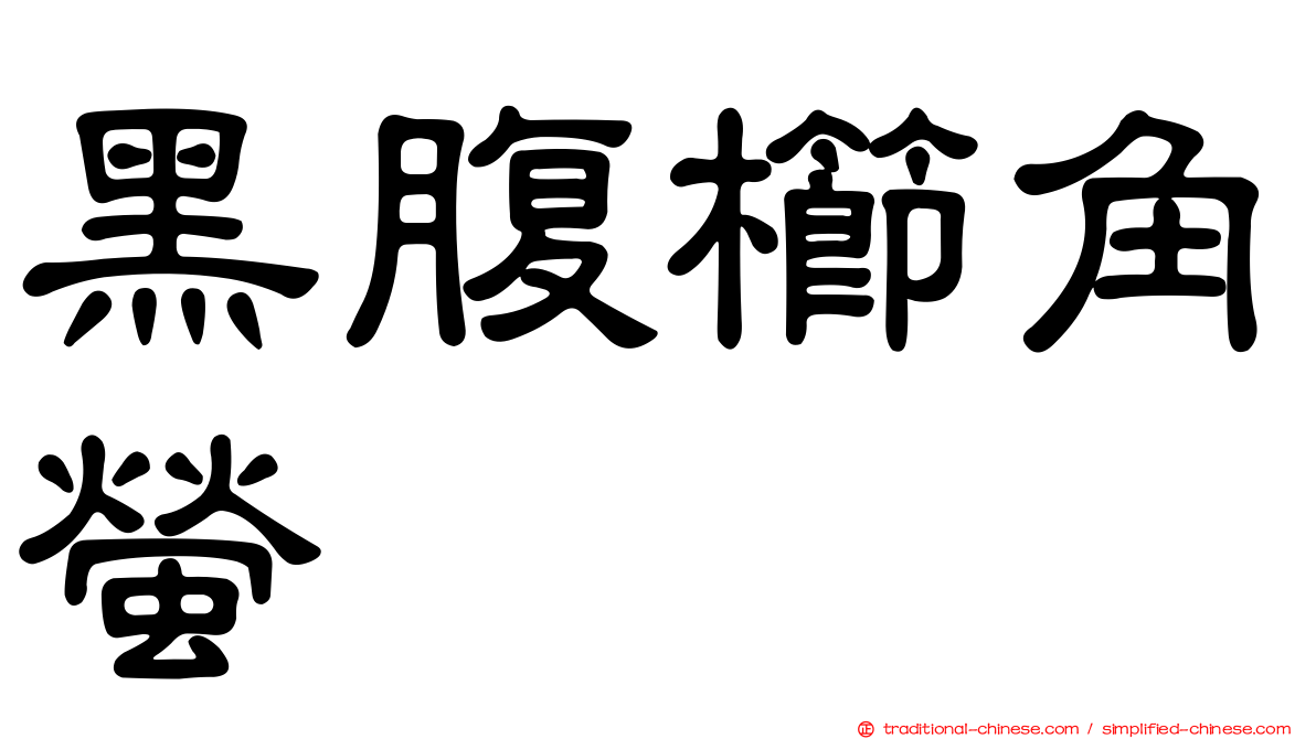 黑腹櫛角螢