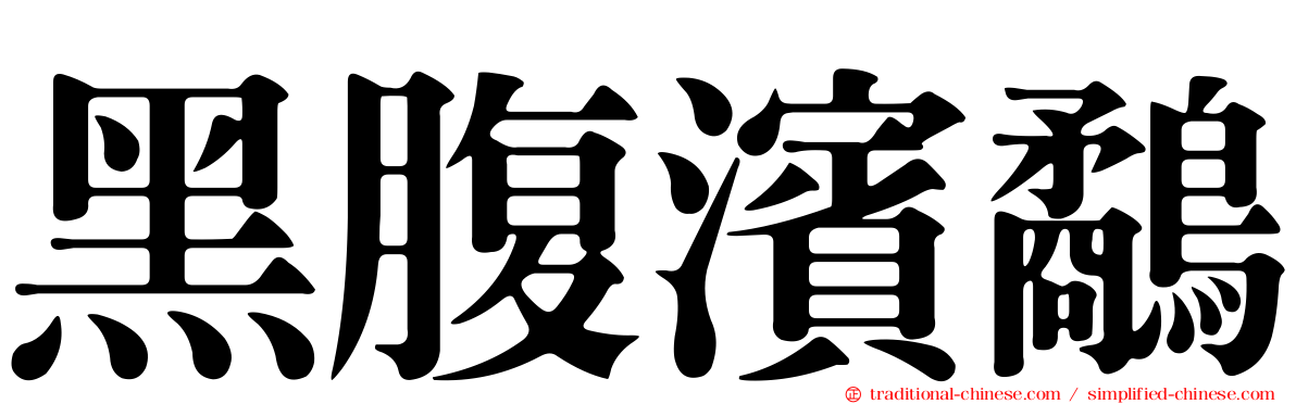 黑腹濱鷸