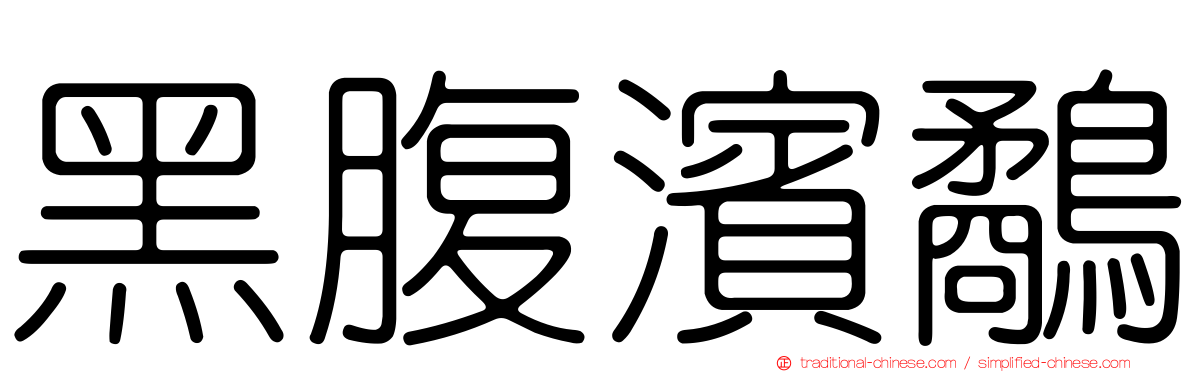 黑腹濱鷸