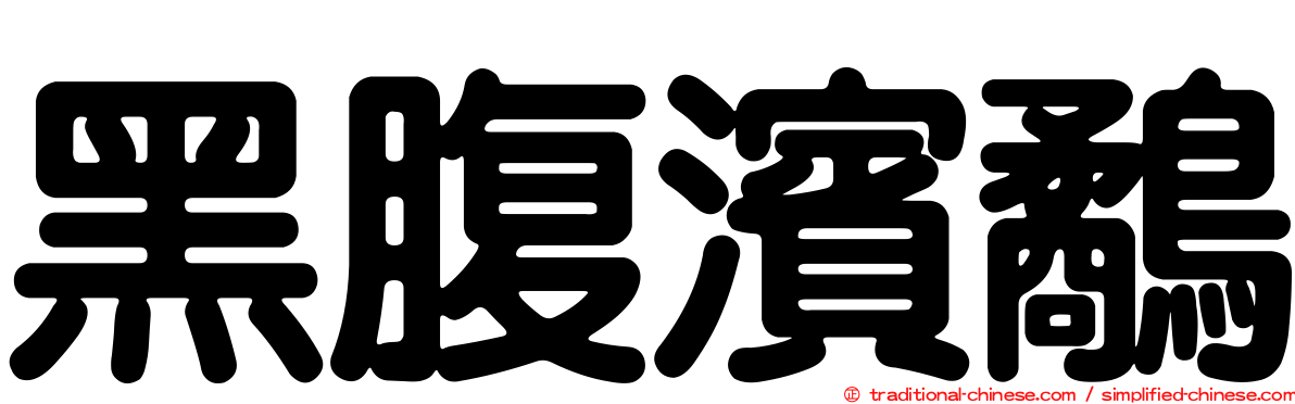 黑腹濱鷸