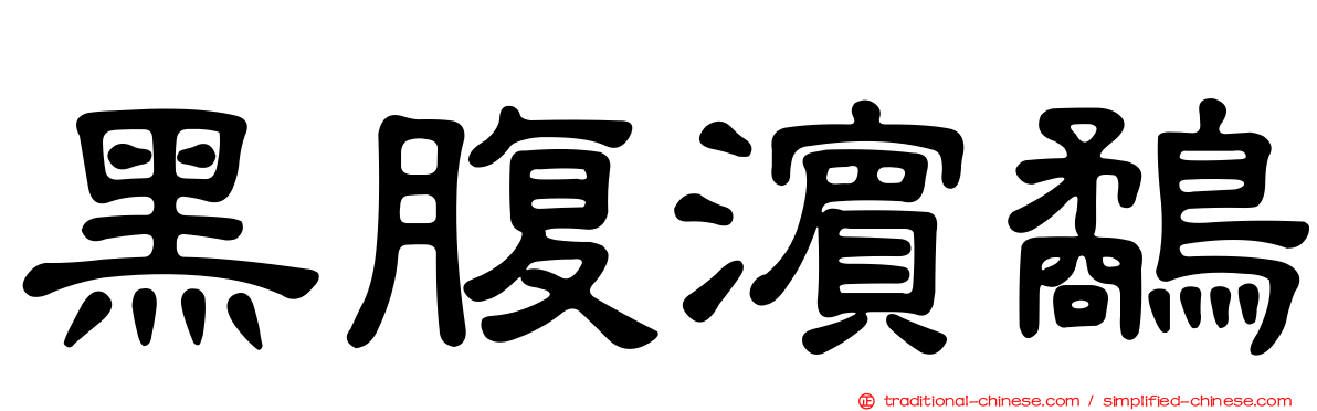黑腹濱鷸