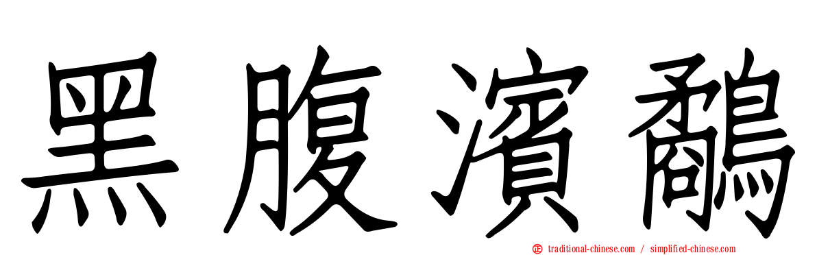 黑腹濱鷸