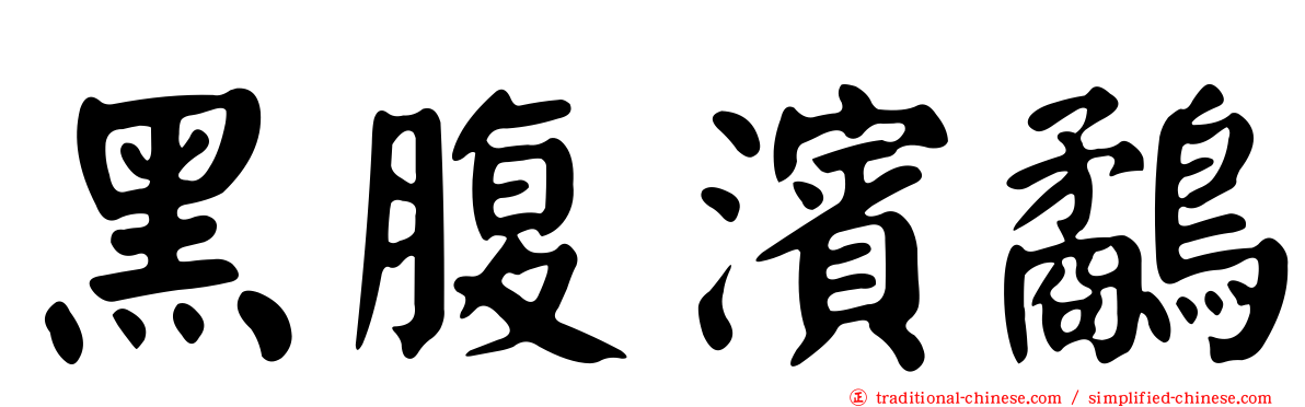 黑腹濱鷸