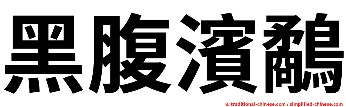 黑腹濱鷸