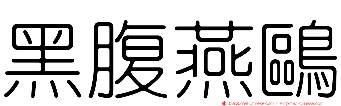 黑腹燕鷗