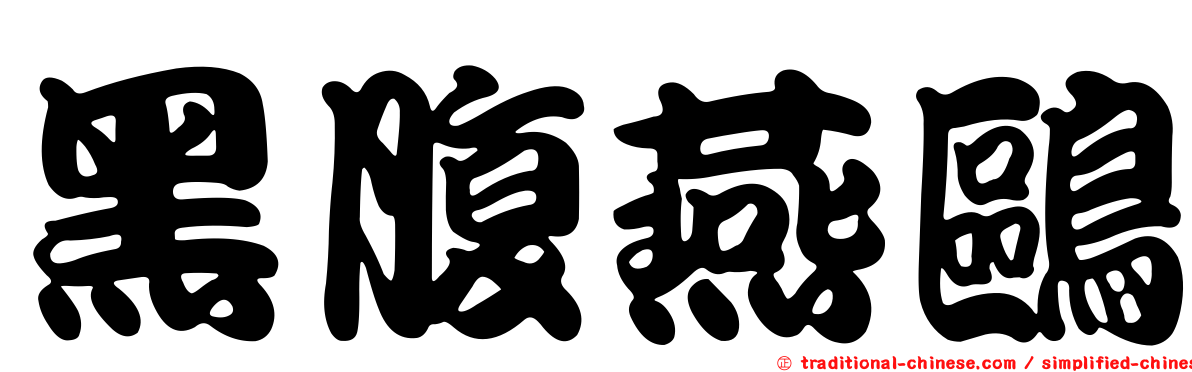 黑腹燕鷗