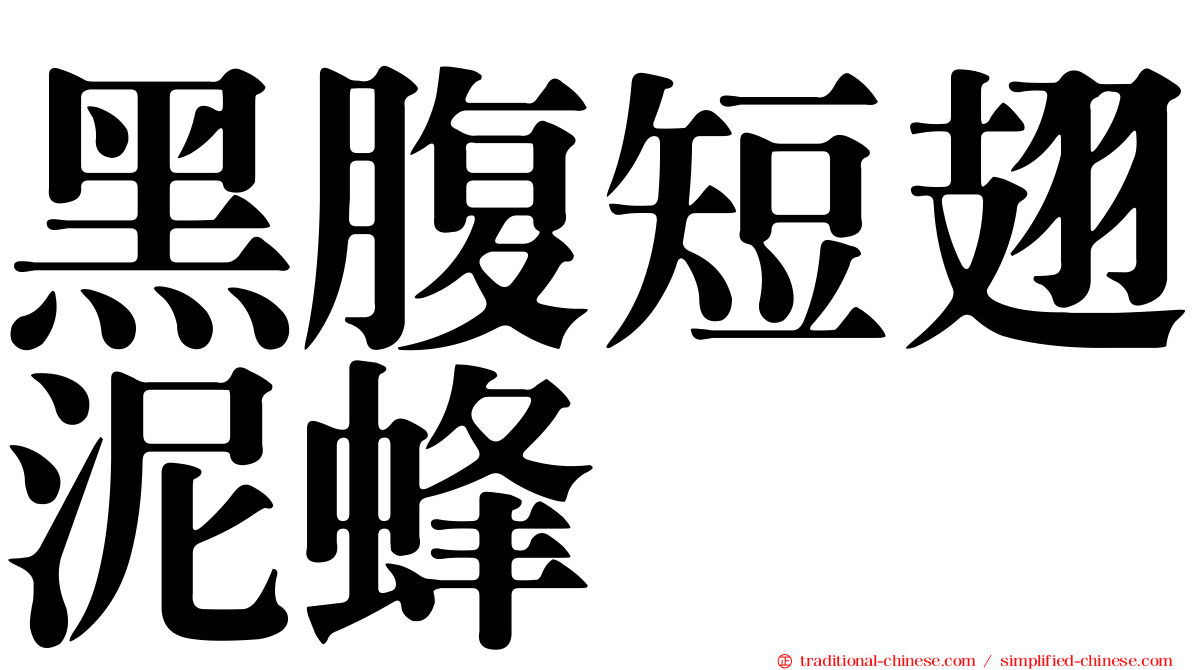 黑腹短翅泥蜂