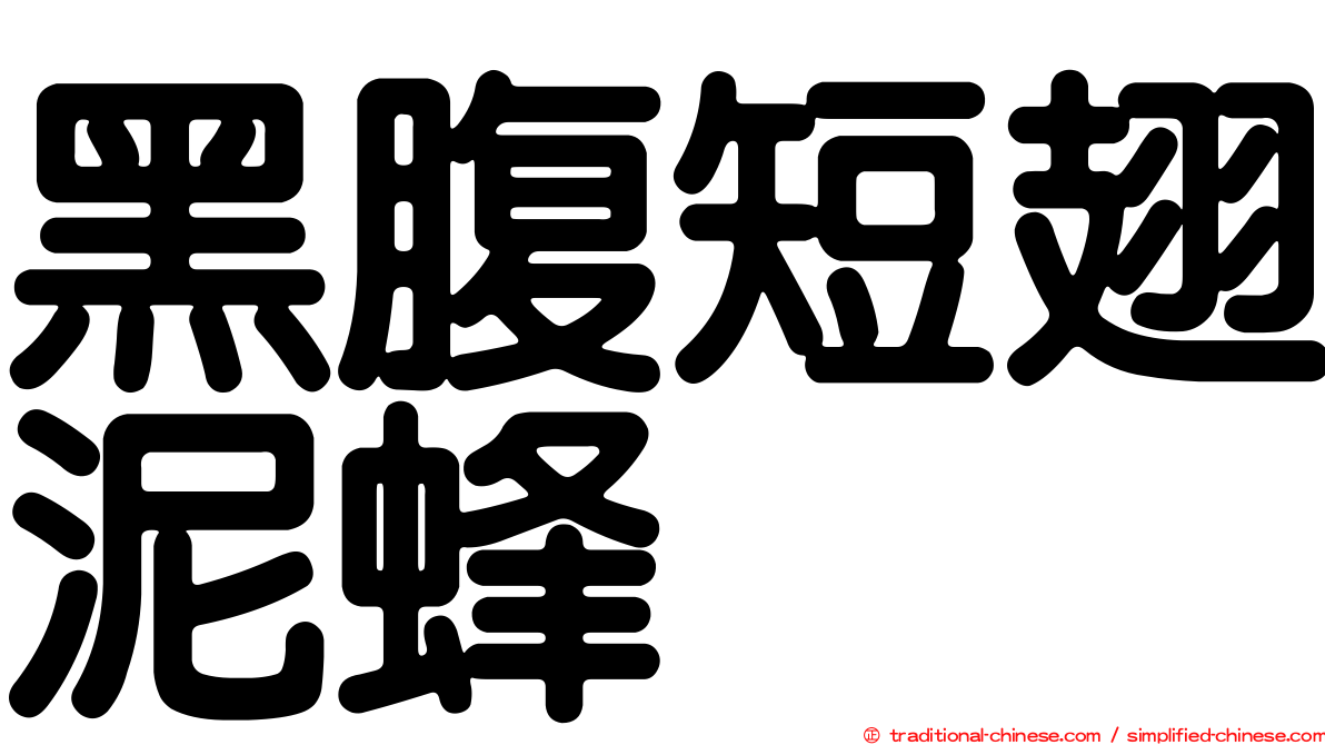 黑腹短翅泥蜂