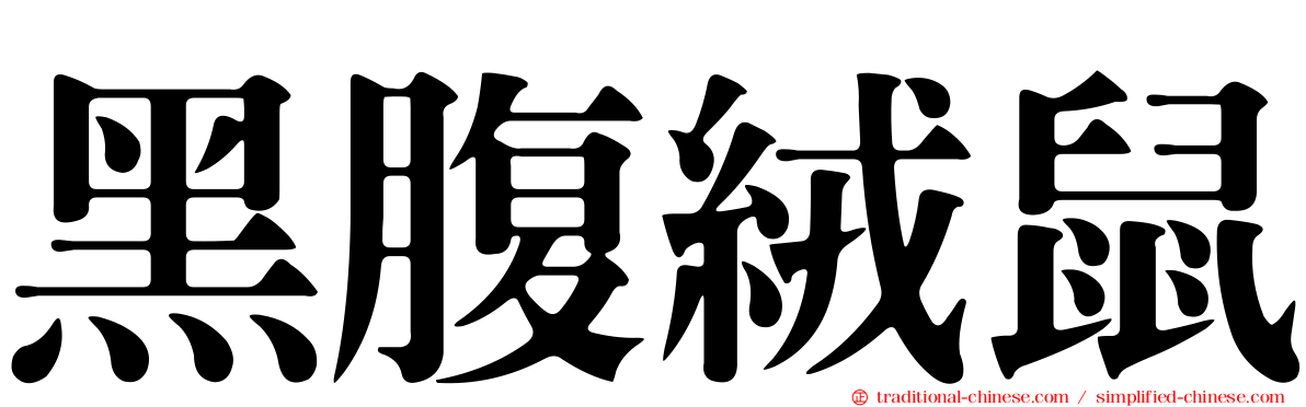 黑腹絨鼠