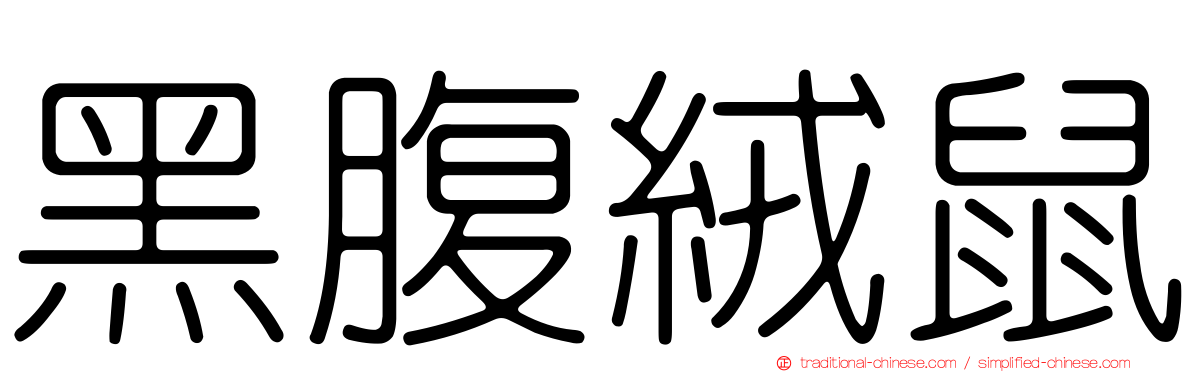 黑腹絨鼠