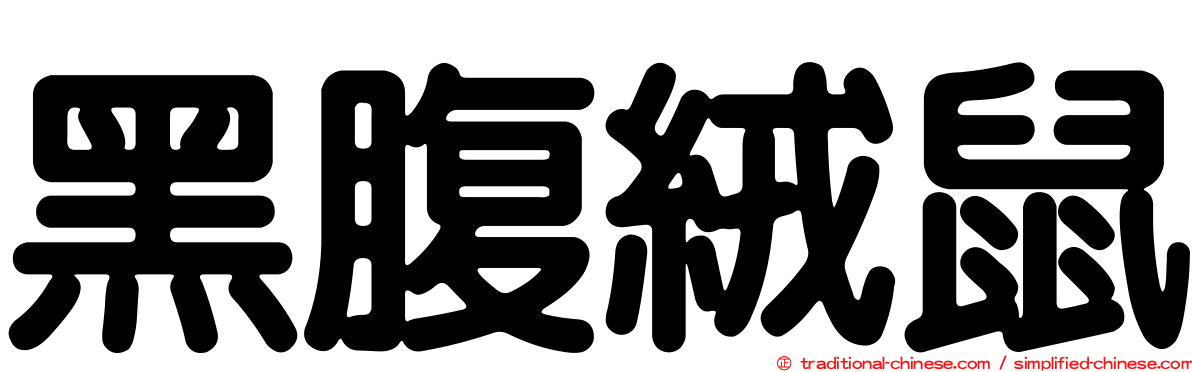 黑腹絨鼠