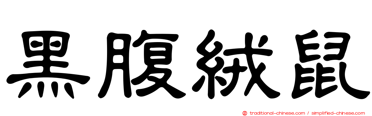 黑腹絨鼠