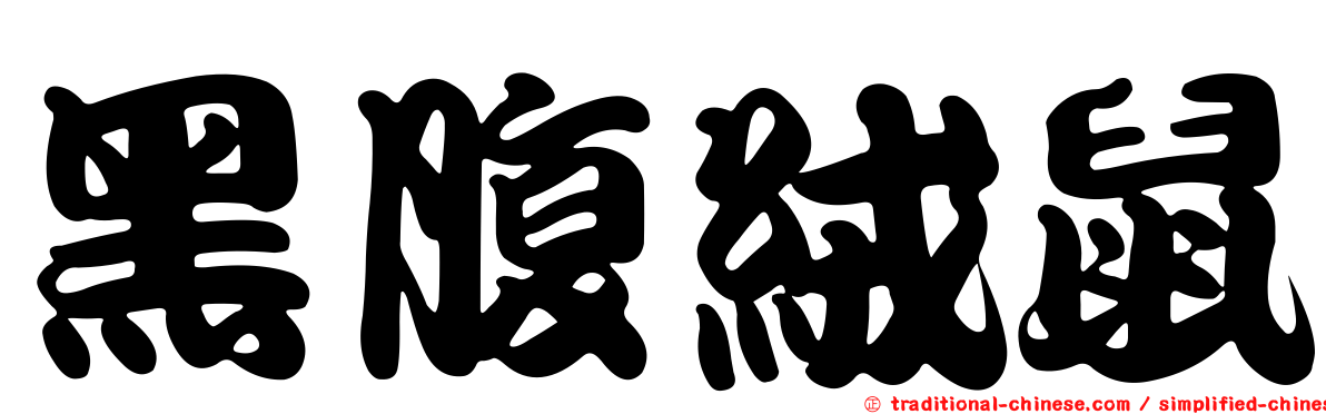 黑腹絨鼠