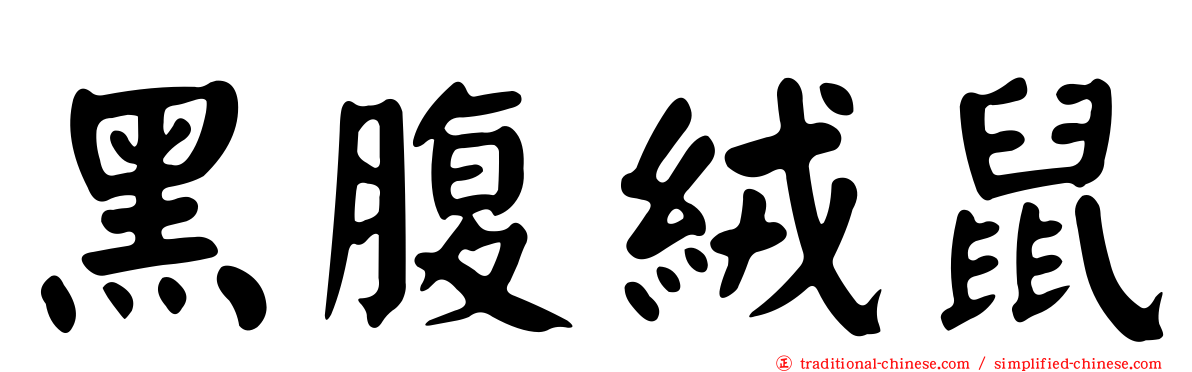 黑腹絨鼠