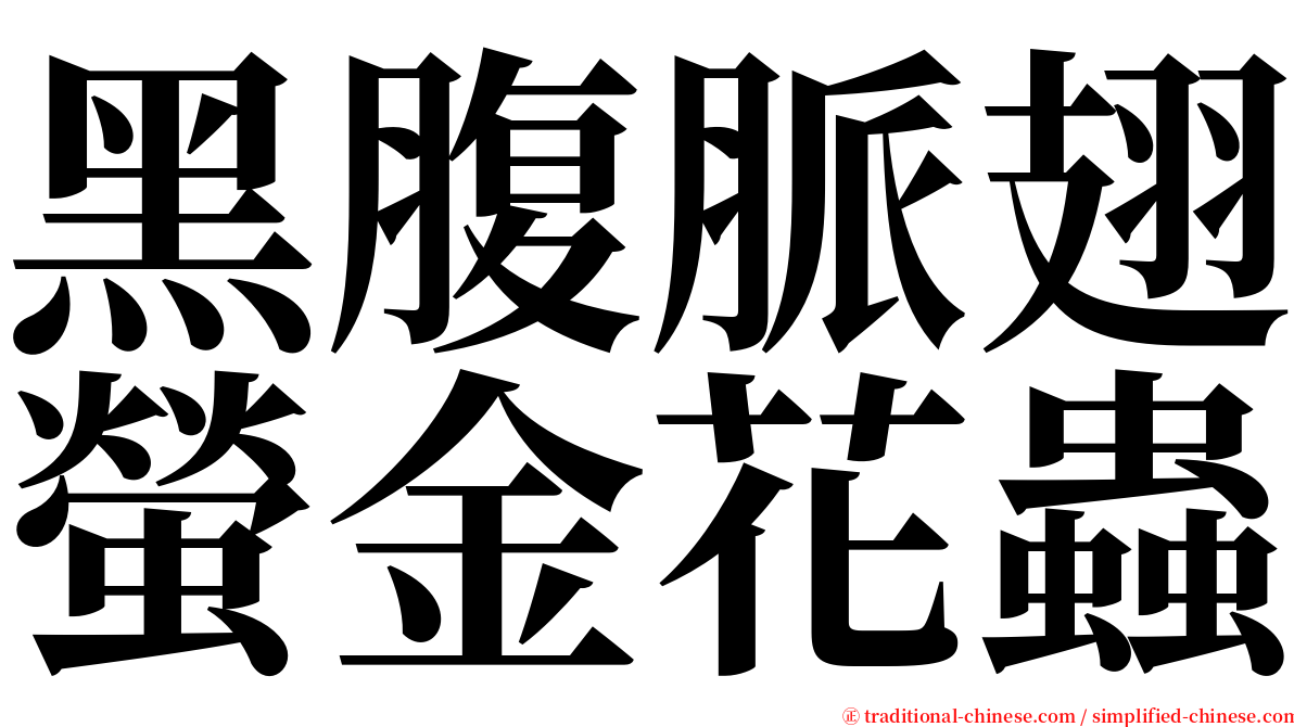 黑腹脈翅螢金花蟲 serif font