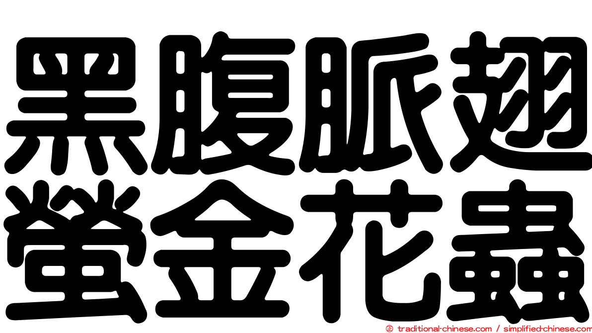 黑腹脈翅螢金花蟲