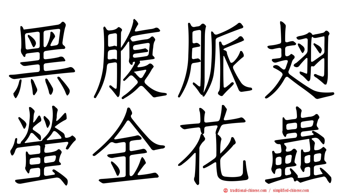 黑腹脈翅螢金花蟲