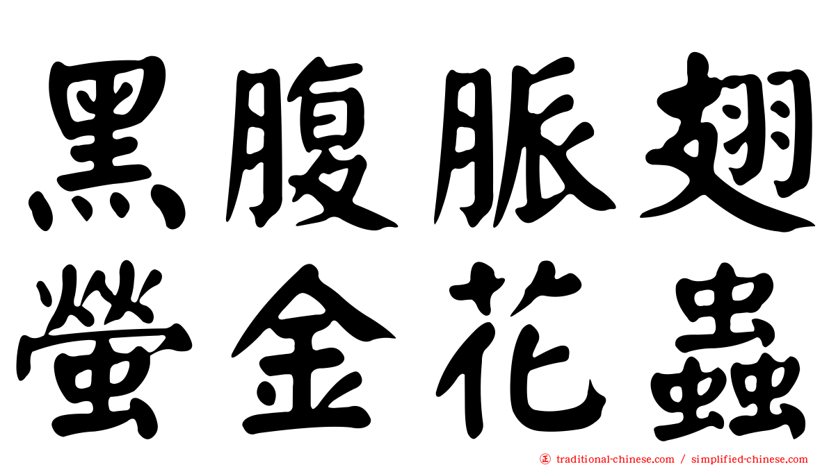 黑腹脈翅螢金花蟲