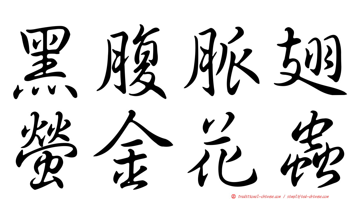 黑腹脈翅螢金花蟲