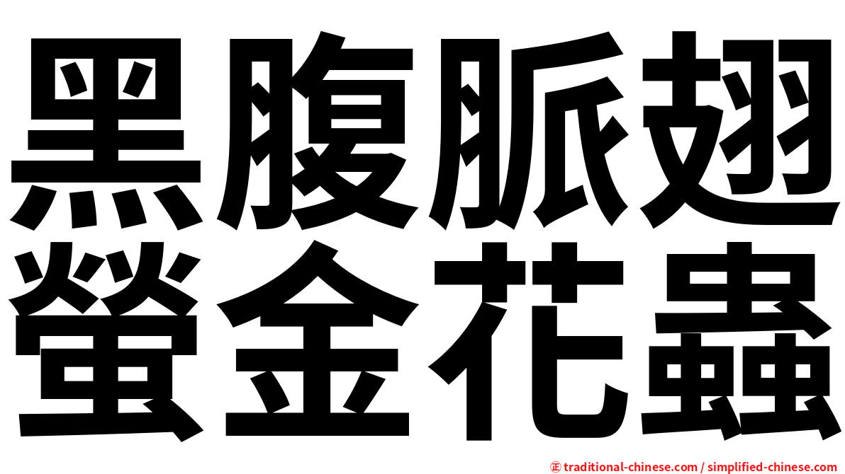 黑腹脈翅螢金花蟲
