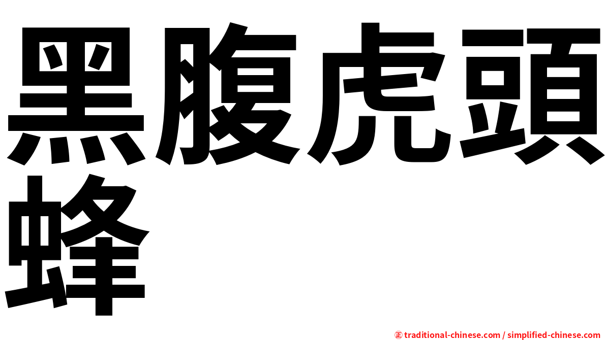 黑腹虎頭蜂