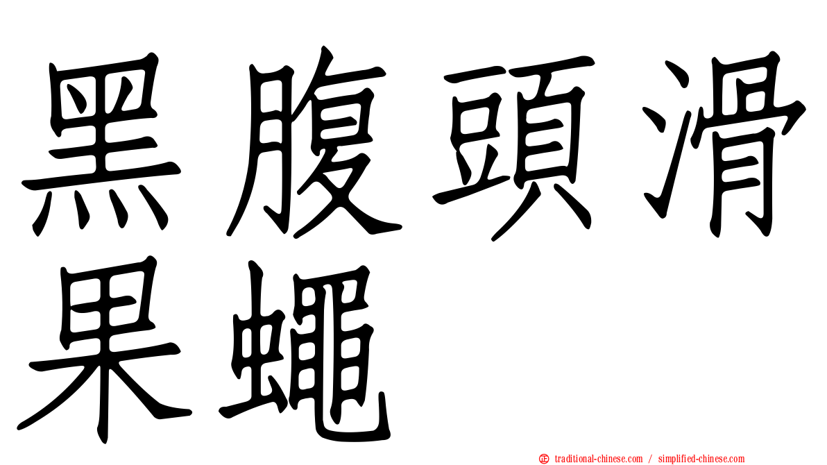 黑腹頭滑果蠅