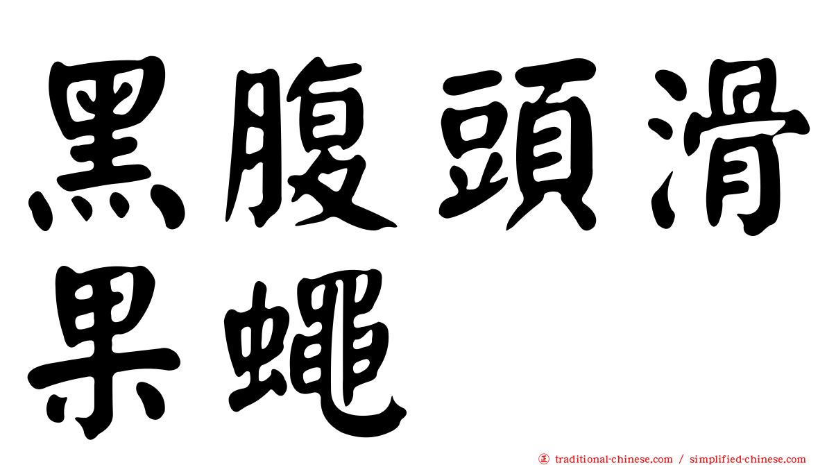 黑腹頭滑果蠅