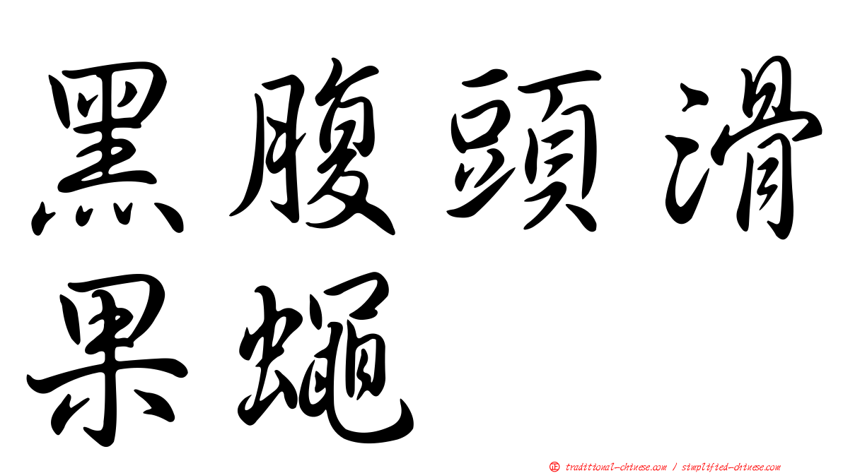 黑腹頭滑果蠅