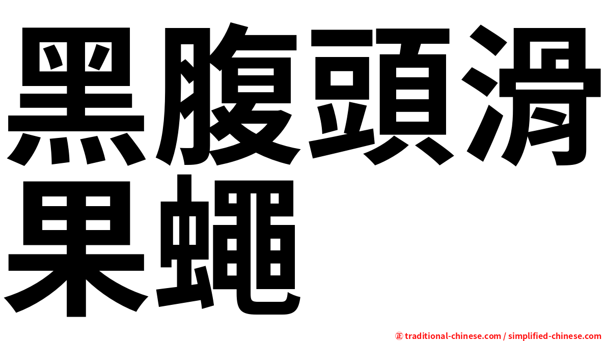 黑腹頭滑果蠅