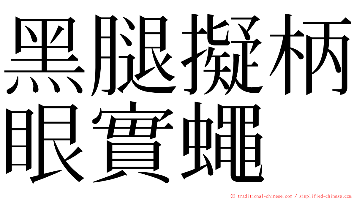 黑腿擬柄眼實蠅 ming font