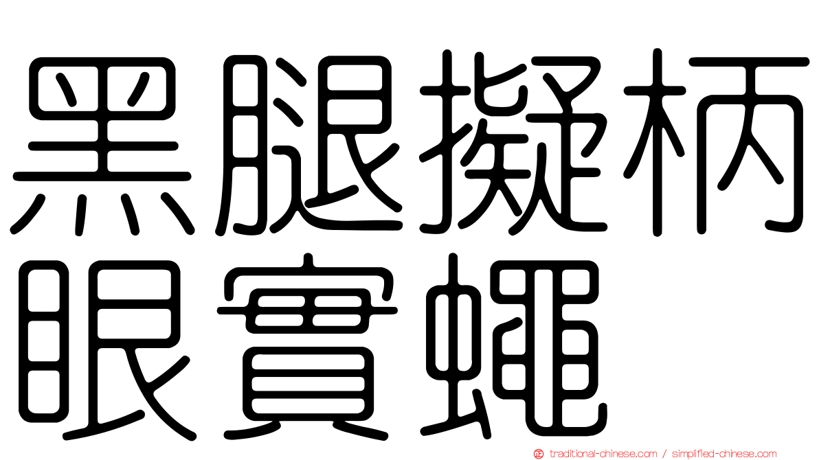 黑腿擬柄眼實蠅