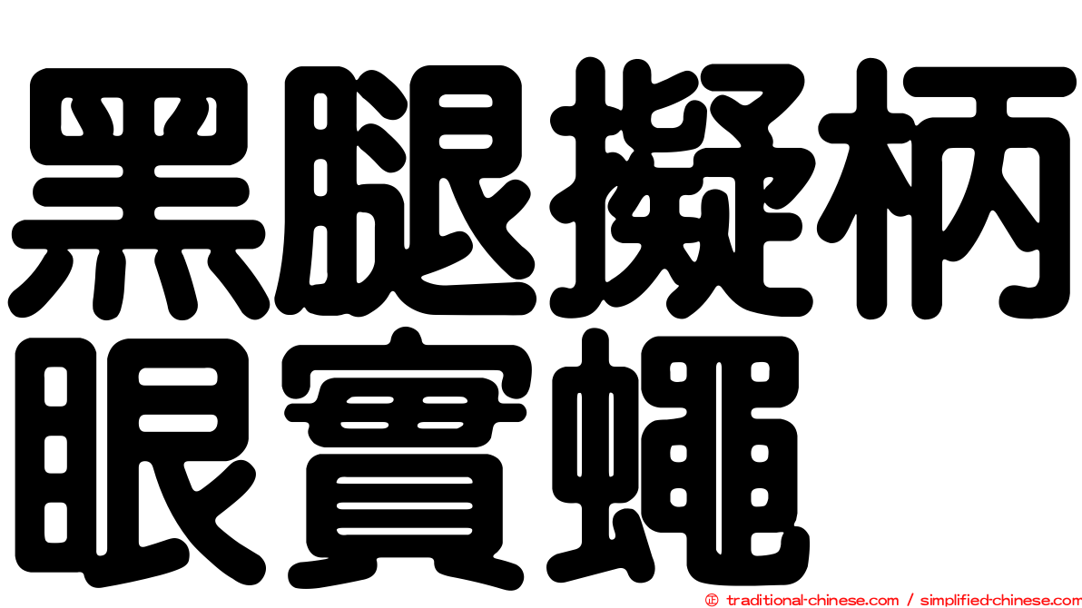 黑腿擬柄眼實蠅