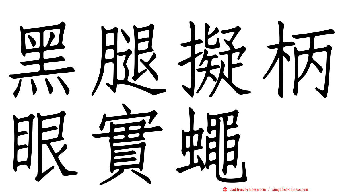 黑腿擬柄眼實蠅
