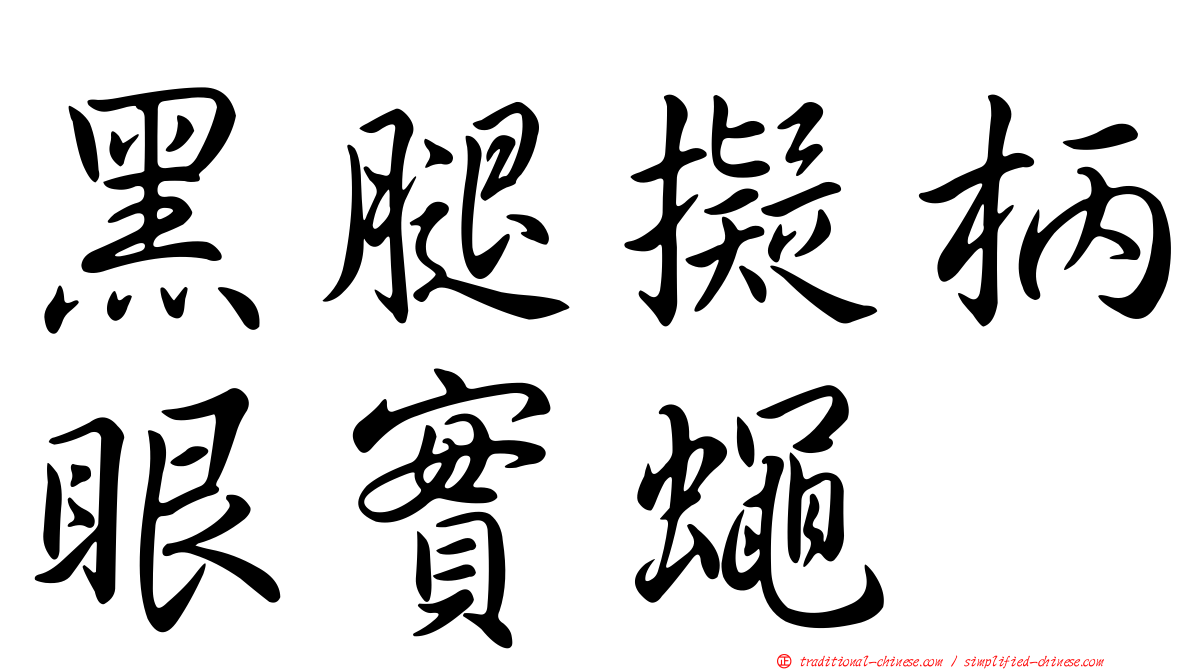 黑腿擬柄眼實蠅