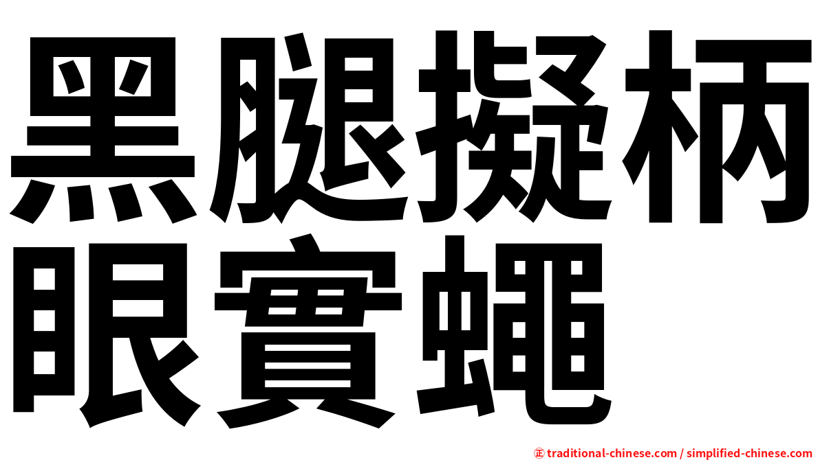 黑腿擬柄眼實蠅