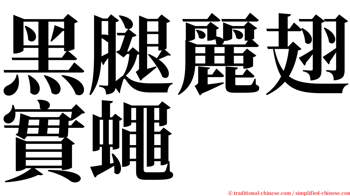 黑腿麗翅實蠅 serif font