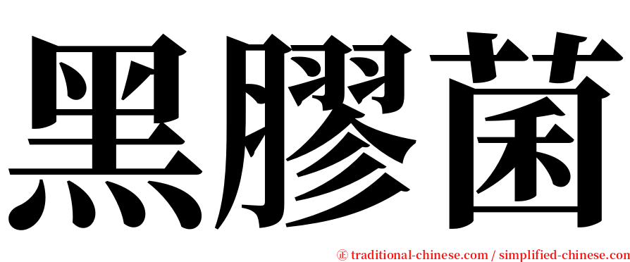 黑膠菌 serif font