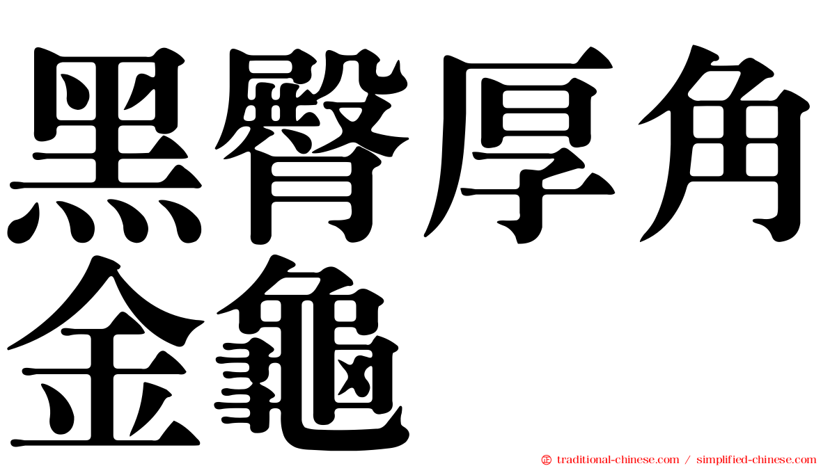 黑臀厚角金龜