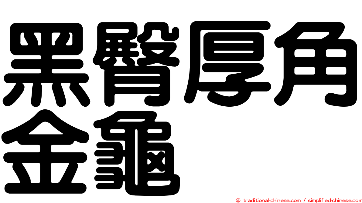 黑臀厚角金龜