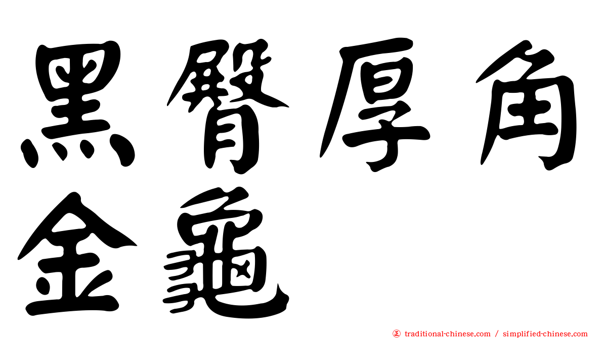 黑臀厚角金龜