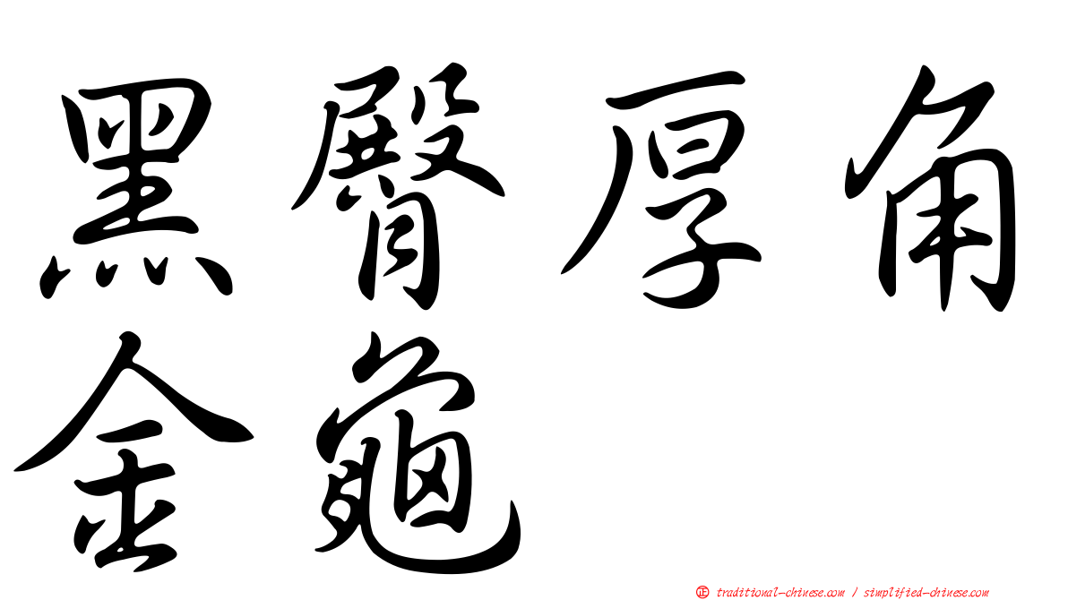 黑臀厚角金龜