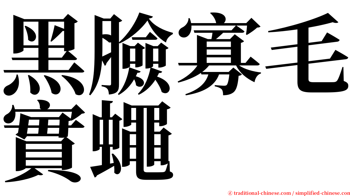 黑臉寡毛實蠅 serif font
