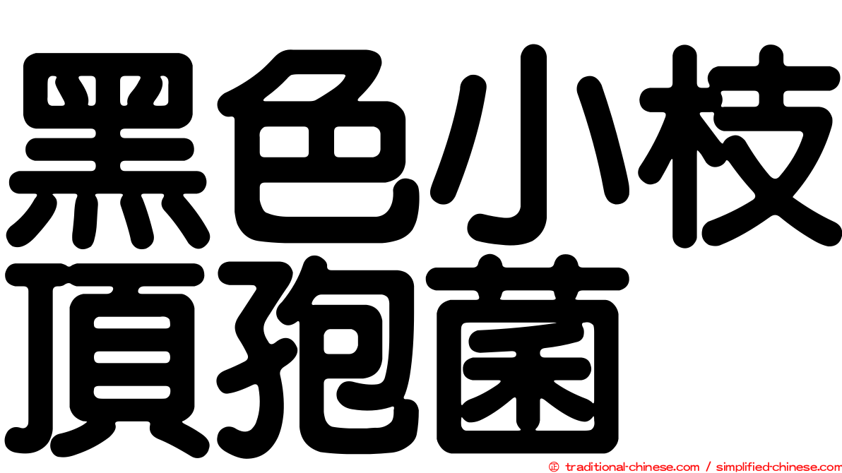 黑色小枝頂孢菌