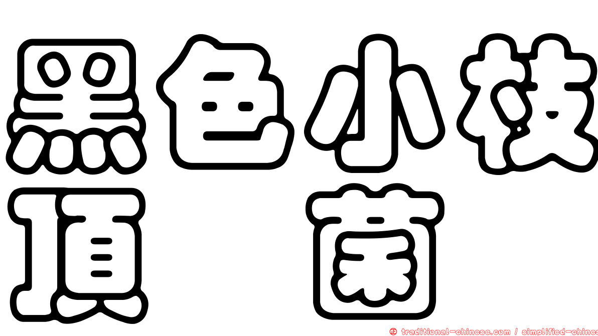 黑色小枝頂孢菌
