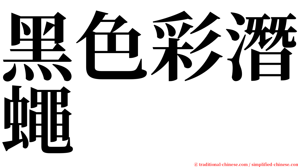 黑色彩潛蠅 serif font