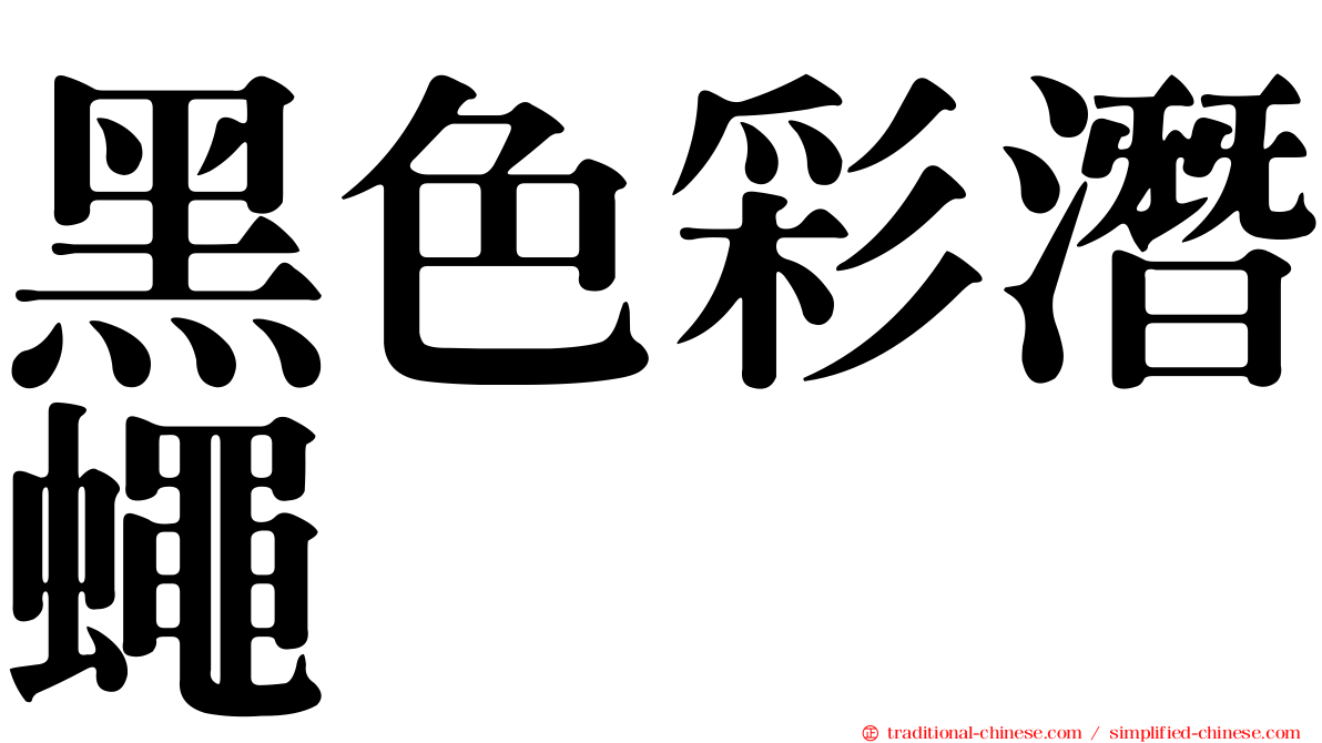 黑色彩潛蠅