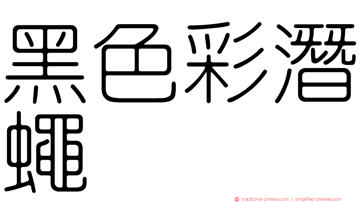 黑色彩潛蠅