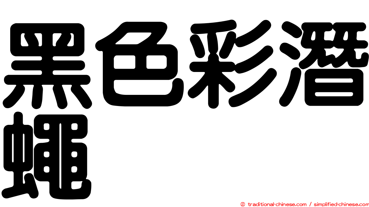 黑色彩潛蠅