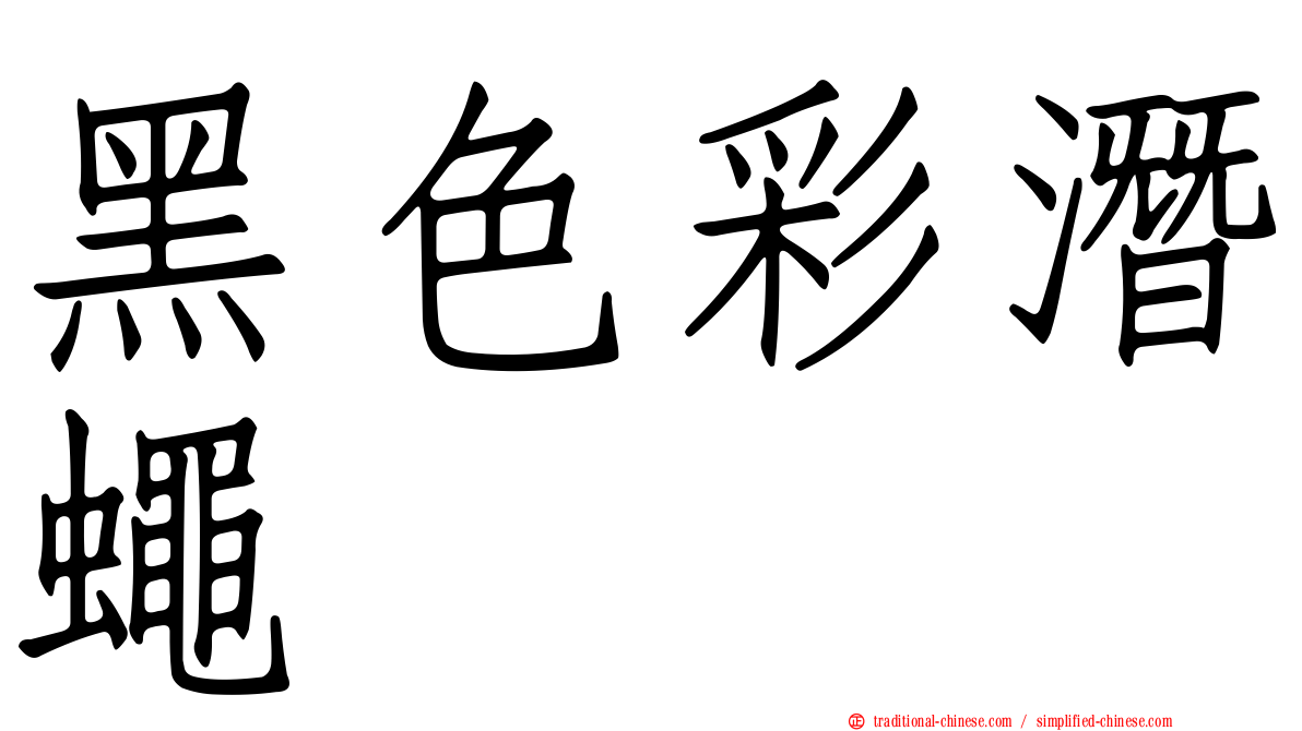 黑色彩潛蠅